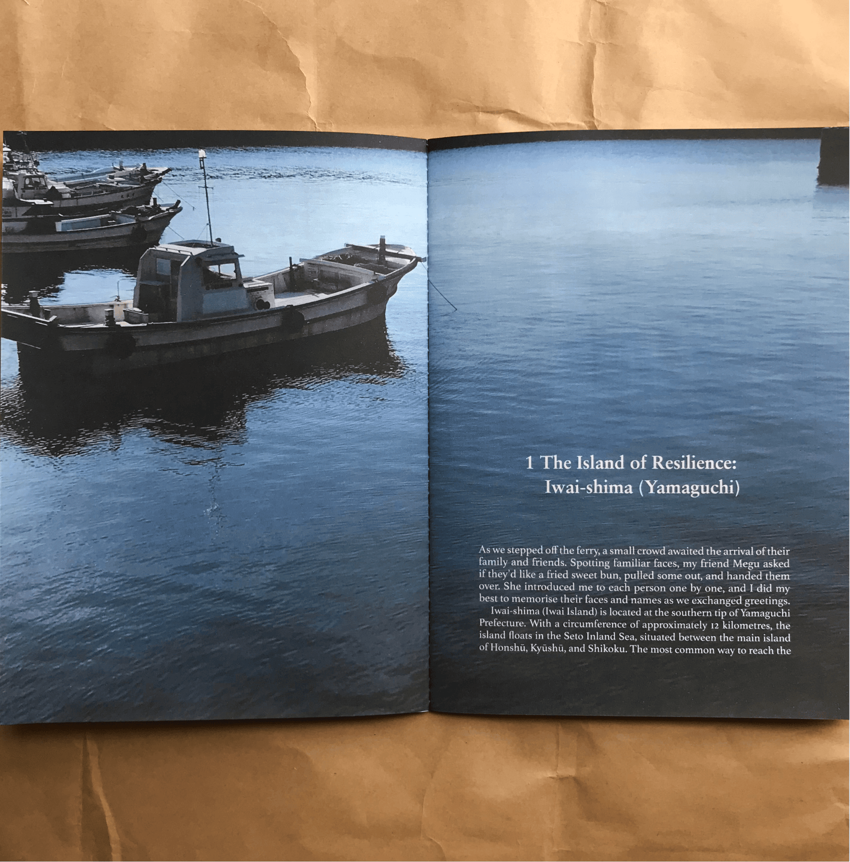 Nicholas Marshall/Michiyo Miyake, The Island of Resilience|Essay/Zine - Image 3