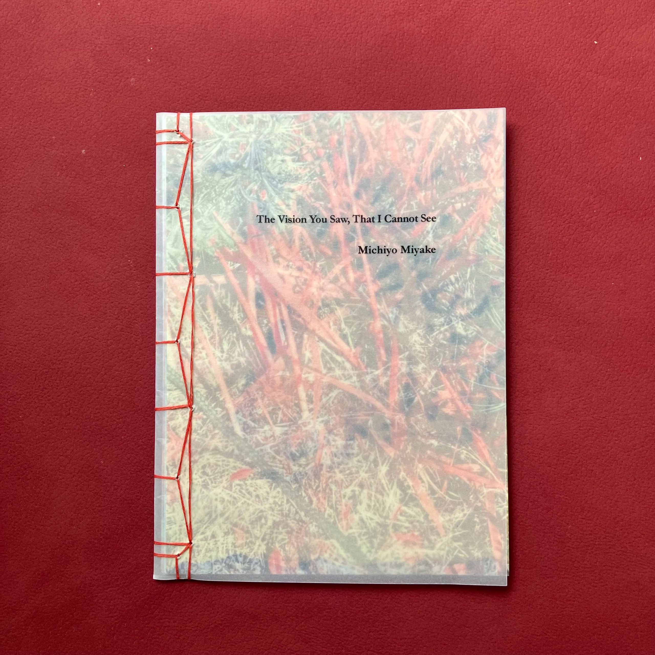 Michiyo Miyake, The Vision You Saw, That I Cannot See|stab-bound zine